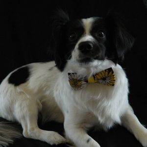 Meet your Posher, Jasmin